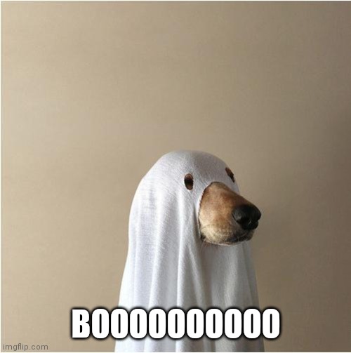 Ghost Doge | BOOOOOOOOOO | image tagged in ghost doge | made w/ Imgflip meme maker