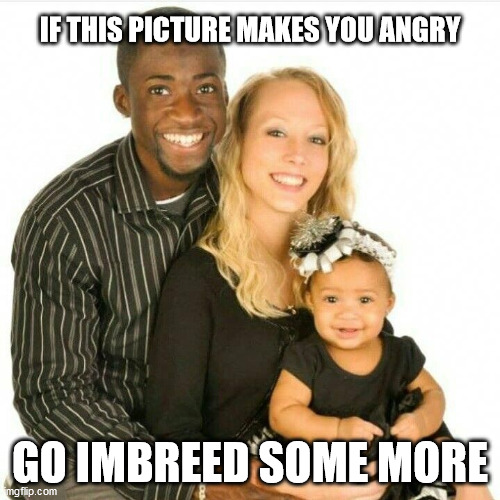 IF THIS PICTURE MAKES YOU ANGRY; GO IMBREED SOME MORE | image tagged in black lives matter | made w/ Imgflip meme maker