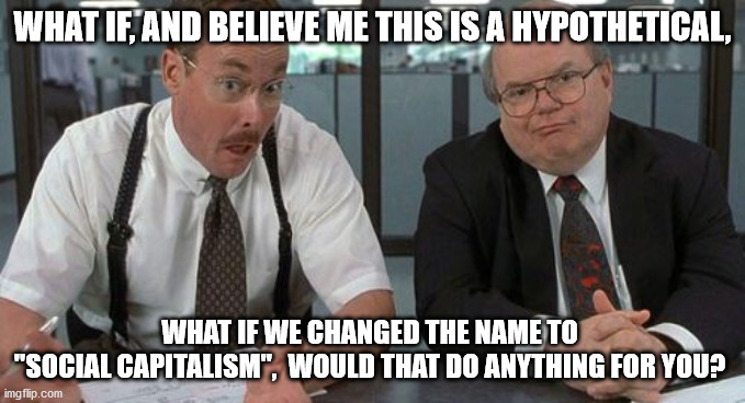 Rebranding is for dummies, that's why it works so well. | WHAT IF, AND BELIEVE ME THIS IS A HYPOTHETICAL, WHAT IF WE CHANGED THE NAME TO 
"SOCIAL CAPITALISM",  WOULD THAT DO ANYTHING FOR YOU? | image tagged in memes,the bobs,democratic socialism | made w/ Imgflip meme maker