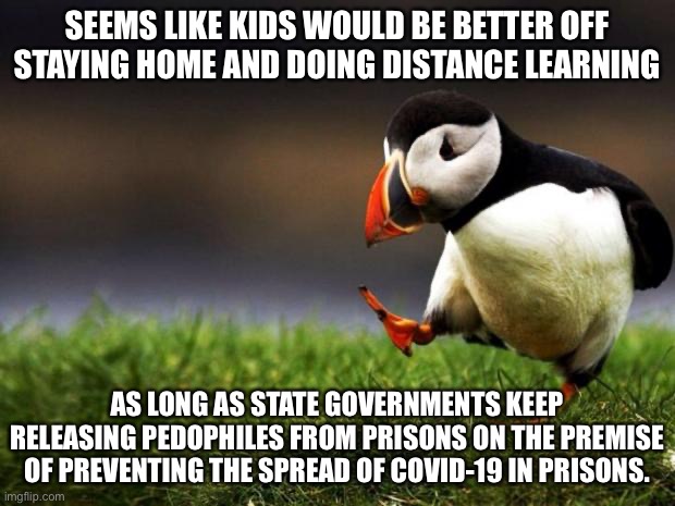 Here is a valid reason for distance learning. The virus is not the real threat. | SEEMS LIKE KIDS WOULD BE BETTER OFF STAYING HOME AND DOING DISTANCE LEARNING; AS LONG AS STATE GOVERNMENTS KEEP RELEASING PEDOPHILES FROM PRISONS ON THE PREMISE OF PREVENTING THE SPREAD OF COVID-19 IN PRISONS. | image tagged in memes,unpopular opinion puffin,corona virus,pedophile,prison,school | made w/ Imgflip meme maker