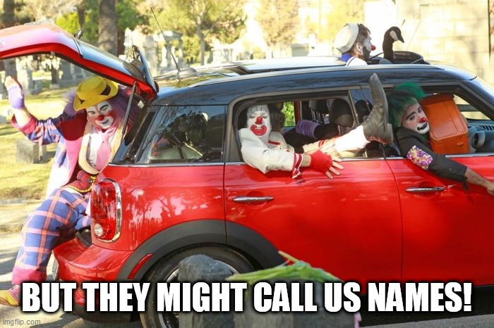 Clown car republicans | BUT THEY MIGHT CALL US NAMES! | image tagged in clown car republicans | made w/ Imgflip meme maker