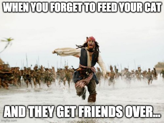 Jack Sparrow Being Chased | WHEN YOU FORGET TO FEED YOUR CAT; AND THEY GET FRIENDS OVER... | image tagged in memes,jack sparrow being chased | made w/ Imgflip meme maker