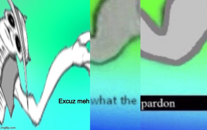 Excuse me what the pardon (sorry cause the first one got NSFW-ed cause an accident) | image tagged in excuz meh what the pardon,memes,funny,excuse me what the fuck,meme chain,custom template | made w/ Imgflip meme maker