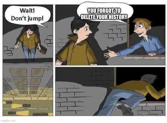 Wait Don’t Jump | YOU FORGOT TO DELETE YOUR HISTORY | image tagged in wait dont jump | made w/ Imgflip meme maker