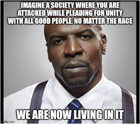 Unity of All Races | IMAGINE A SOCIETY WHERE YOU ARE ATTACKED WHILE PLEADING FOR UNITY WITH ALL GOOD PEOPLE, NO MATTER THE RACE; WE ARE NOW LIVING IN IT | image tagged in terry crews,memes,black lives matter,all lives matter,unity | made w/ Imgflip meme maker