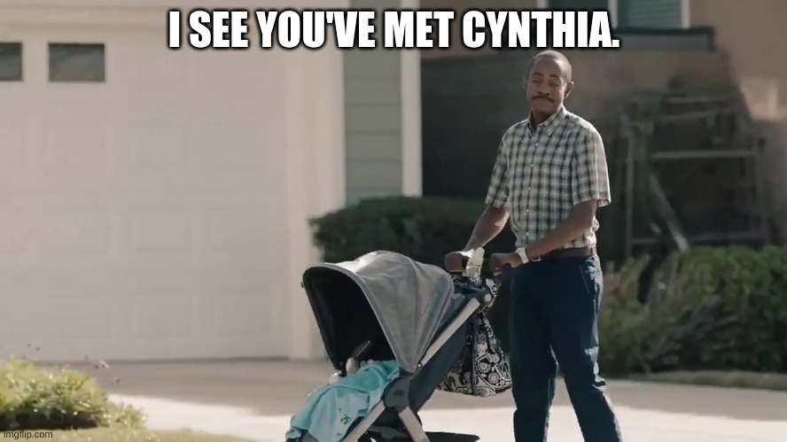 I see you've met Cynthia. | I SEE YOU'VE MET CYNTHIA. | image tagged in funny | made w/ Imgflip meme maker