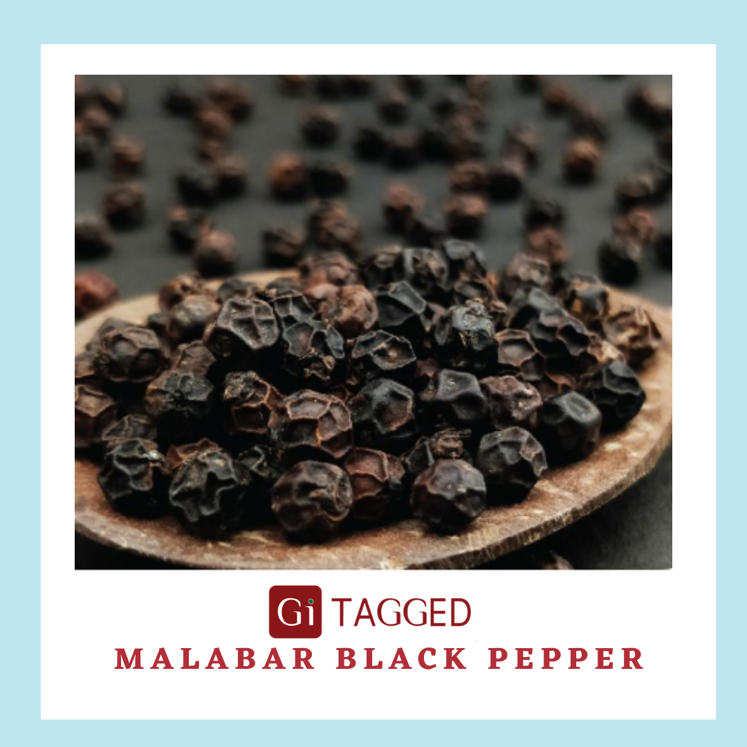 High Quality GI TAGGED MALABAR BLACK PEPPER Blank Meme Template