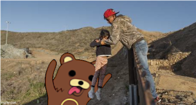 "Bear The wall" Trump new wall plan is raping familys apart | image tagged in build a wall,satire,pedobear,illegal immigration,immigrant children | made w/ Imgflip meme maker