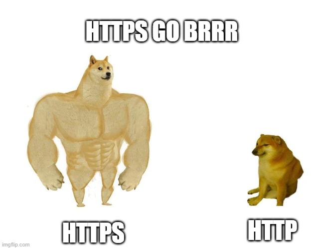 HTTPS go brrrrr | HTTPS GO BRRR; HTTP; HTTPS | image tagged in doggo and cheems | made w/ Imgflip meme maker