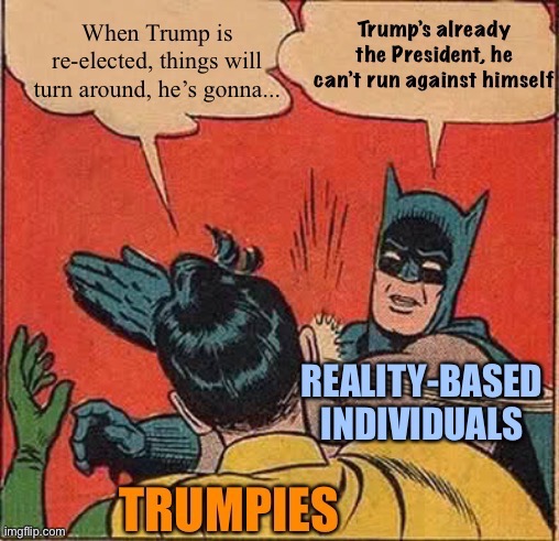 Trying to slap sense into Trumpies who still cling to the hope it’s all gonna magically turn around with a Trump re(!)-election | image tagged in trump 2020,election 2020,trump supporters,conservative logic,election,batman slapping robin | made w/ Imgflip meme maker