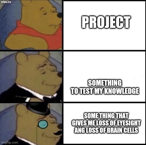 Project meme | PROJECT; SOMETHING TO TEST MY KNOWLEDGE; SOME THING THAT GIVES ME LOSS OF EYESIGHT ANG LOSS OF BRAIN CELLS | image tagged in project | made w/ Imgflip meme maker