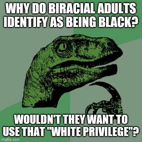 Philosoraptor | WHY DO BIRACIAL ADULTS IDENTIFY AS BEING BLACK? WOULDN'T THEY WANT TO USE THAT "WHITE PRIVILEGE"? | image tagged in memes,philosoraptor | made w/ Imgflip meme maker
