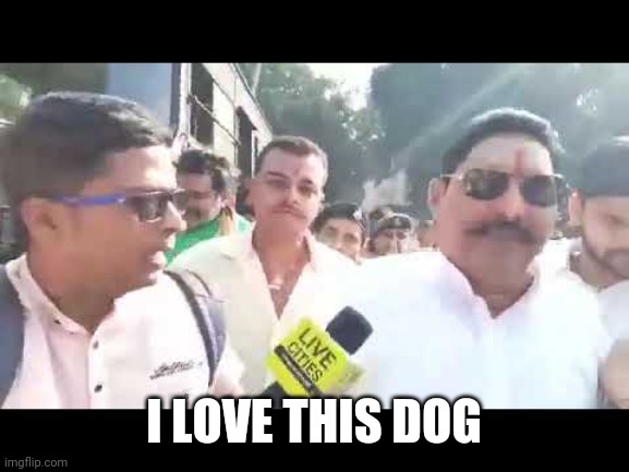 Lauda ka Sarkar hai | I LOVE THIS DOG | image tagged in lauda ka sarkar hai | made w/ Imgflip meme maker