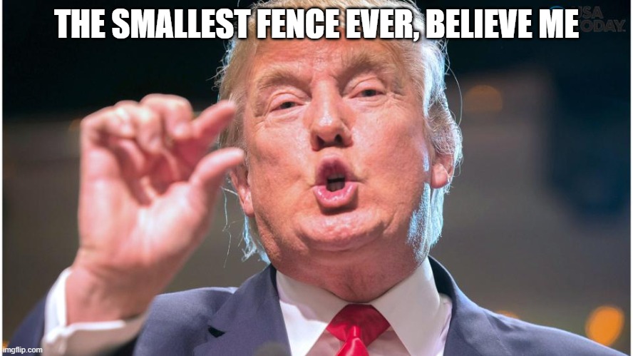 Donald Trump small brain | THE SMALLEST FENCE EVER, BELIEVE ME | image tagged in donald trump small brain | made w/ Imgflip meme maker