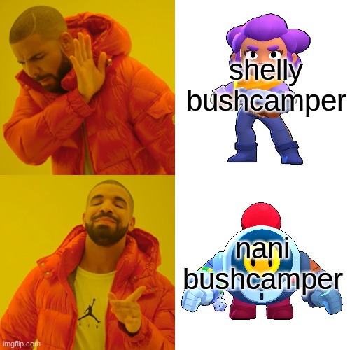 Drake Hotline Bling Meme | shelly bushcamper; nani bushcamper | image tagged in memes,drake hotline bling | made w/ Imgflip meme maker