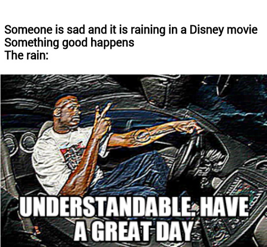 UNDERSTANDABLE, HAVE A GREAT DAY | Someone is sad and it is raining in a Disney movie
Something good happens
The rain: | image tagged in understandable have a great day | made w/ Imgflip meme maker