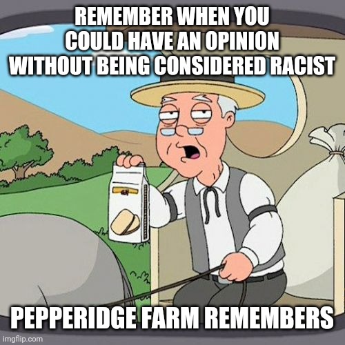Pepperidge Farm Remembers Meme |  REMEMBER WHEN YOU COULD HAVE AN OPINION WITHOUT BEING CONSIDERED RACIST; PEPPERIDGE FARM REMEMBERS | image tagged in memes,pepperidge farm remembers | made w/ Imgflip meme maker