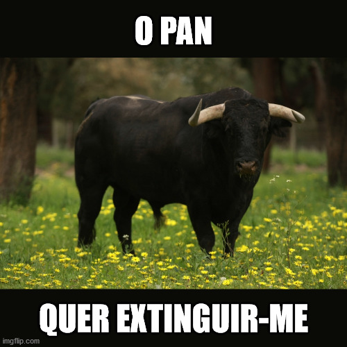 PAN contra a Natureza | O PAN; QUER EXTINGUIR-ME | image tagged in bull looking,pan,toiro,touro | made w/ Imgflip meme maker