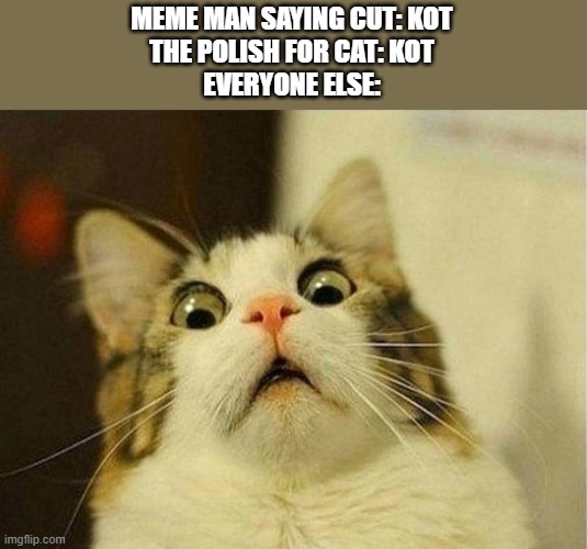 Scared Cat Meme | MEME MAN SAYING CUT: KOT
THE POLISH FOR CAT: KOT
EVERYONE ELSE: | image tagged in memes,scared cat | made w/ Imgflip meme maker