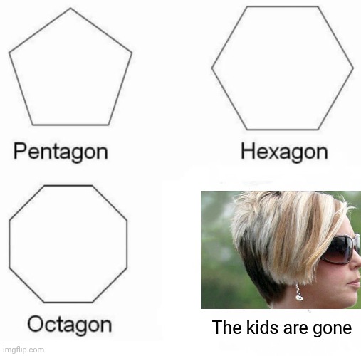 Pentagon Hexagon Octagon | The kids are gone | image tagged in memes,pentagon hexagon octagon | made w/ Imgflip meme maker