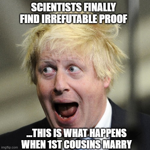 wiff waff, baah! | SCIENTISTS FINALLY FIND IRREFUTABLE PROOF; ...THIS IS WHAT HAPPENS WHEN 1ST COUSINS MARRY | image tagged in boris johnson | made w/ Imgflip meme maker