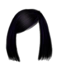Girl hair ( wig for girl's ) Blank Meme Template