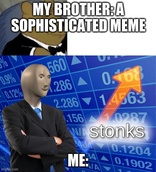 I like STONKS! | MY BROTHER: A SOPHISTICATED MEME; ME: | image tagged in memes,tuxedo winnie the pooh,stonks | made w/ Imgflip meme maker