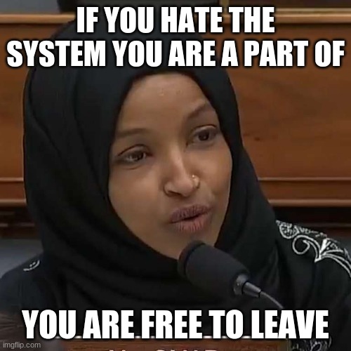 Ilhan Omar took an oath to defend and protect the Constitution, not shred it |  IF YOU HATE THE SYSTEM YOU ARE A PART OF; YOU ARE FREE TO LEAVE | image tagged in ilhan omar,america traitor,resign or do your job,no sharia,one set of laws for all americans,reform congress | made w/ Imgflip meme maker