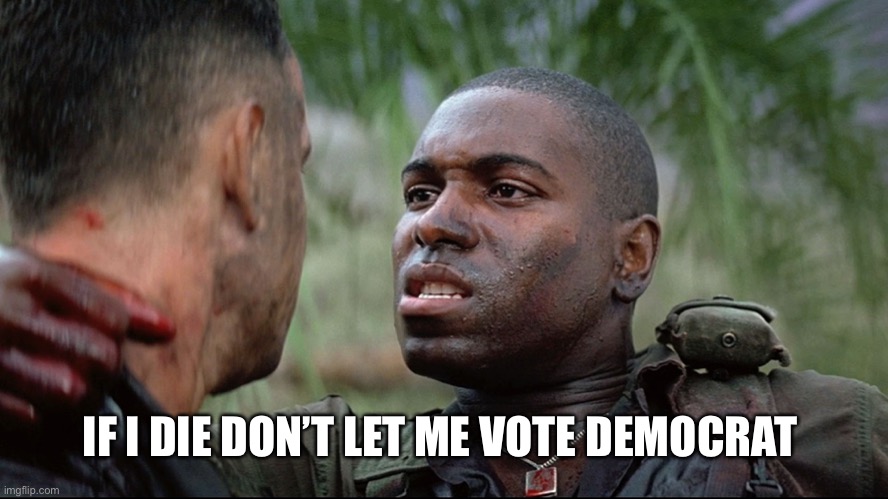 Forrest Gump Bubba | IF I DIE DON’T LET ME VOTE DEMOCRAT | image tagged in forrest gump bubba | made w/ Imgflip meme maker