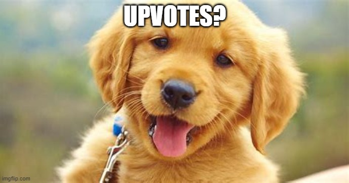 Pupper wishes for pets and upvotes! | UPVOTES? | image tagged in dog,doge,funny,fun,cute | made w/ Imgflip meme maker