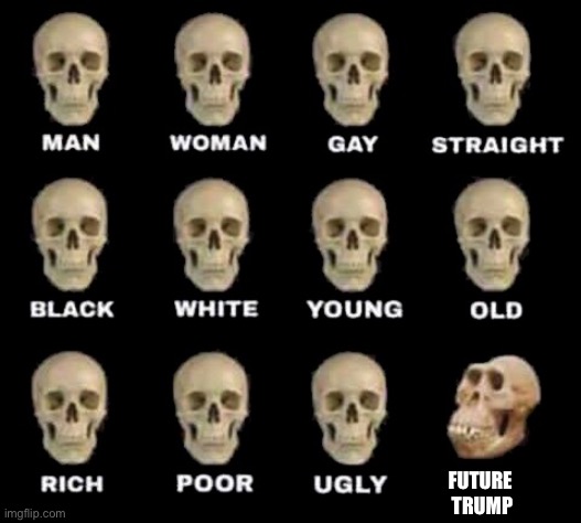 man woman gay straight skull | FUTURE 
TRUMP | image tagged in man woman gay straight skull | made w/ Imgflip meme maker