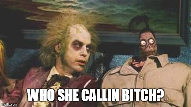 Beetlejuice Waiting room | WHO SHE CALLIN BITCH? | image tagged in beetlejuice waiting room | made w/ Imgflip meme maker