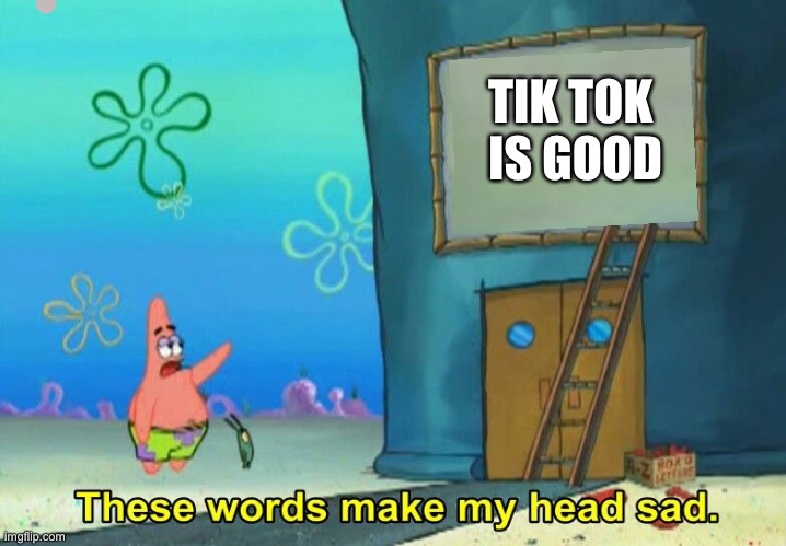 TikTok makes head sad | TIK TOK 
IS GOOD | image tagged in these words make my head sad patrick | made w/ Imgflip meme maker