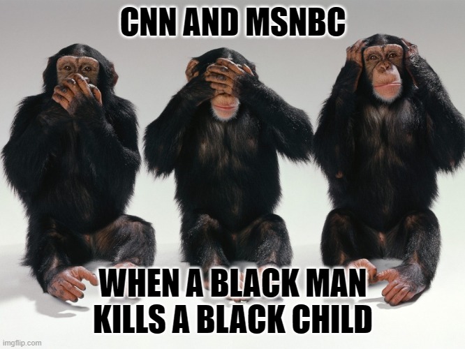 (Apparently some) Black Lives Matter (more than others) | CNN AND MSNBC; WHEN A BLACK MAN KILLS A BLACK CHILD | image tagged in three monkeys,blm,black lives matter | made w/ Imgflip meme maker