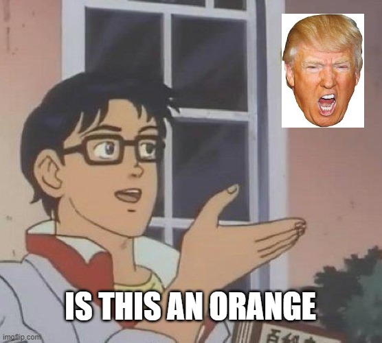 is this an orange | IS THIS AN ORANGE | image tagged in memes,is this a pigeon | made w/ Imgflip meme maker