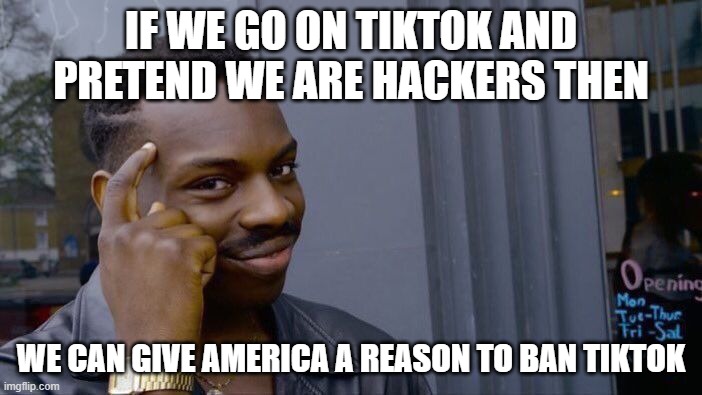 Roll Safe Think About It Meme | IF WE GO ON TIKTOK AND PRETEND WE ARE HACKERS THEN; WE CAN GIVE AMERICA A REASON TO BAN TIKTOK | image tagged in memes,roll safe think about it | made w/ Imgflip meme maker