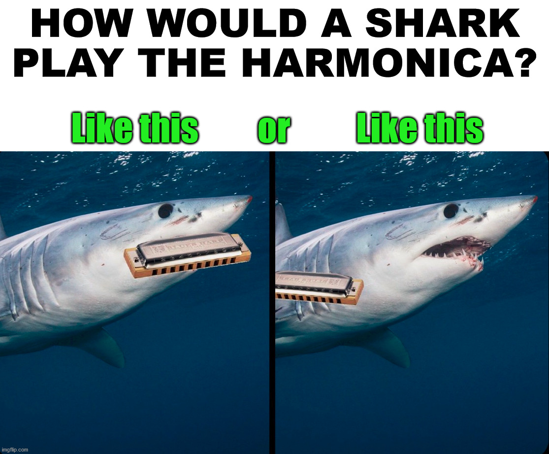 People need to know. | HOW WOULD A SHARK PLAY THE HARMONICA? Like this         or          Like this | image tagged in sharks,harmonica,good question | made w/ Imgflip meme maker