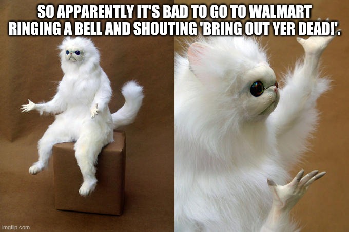 BRING OUT YER DEAD! | SO APPARENTLY IT'S BAD TO GO TO WALMART RINGING A BELL AND SHOUTING 'BRING OUT YER DEAD!'. | image tagged in memes,persian cat room guardian | made w/ Imgflip meme maker