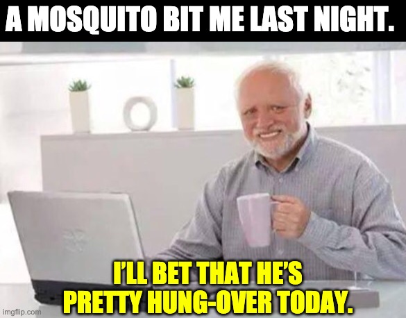 Harold | A MOSQUITO BIT ME LAST NIGHT. I’LL BET THAT HE’S PRETTY HUNG-OVER TODAY. | image tagged in harold | made w/ Imgflip meme maker