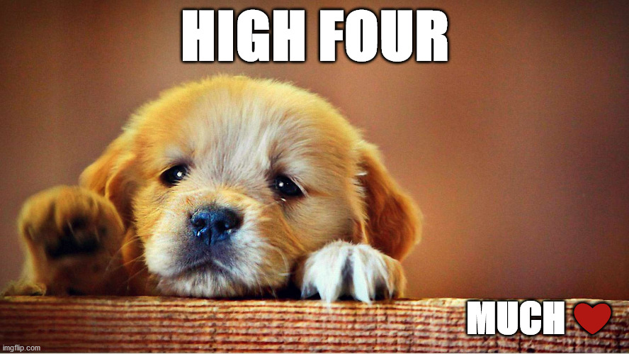 HIGH FOUR; MUCH ❤️ | image tagged in love | made w/ Imgflip meme maker