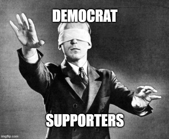 Blind Judge | DEMOCRAT; SUPPORTERS | image tagged in blind judge | made w/ Imgflip meme maker