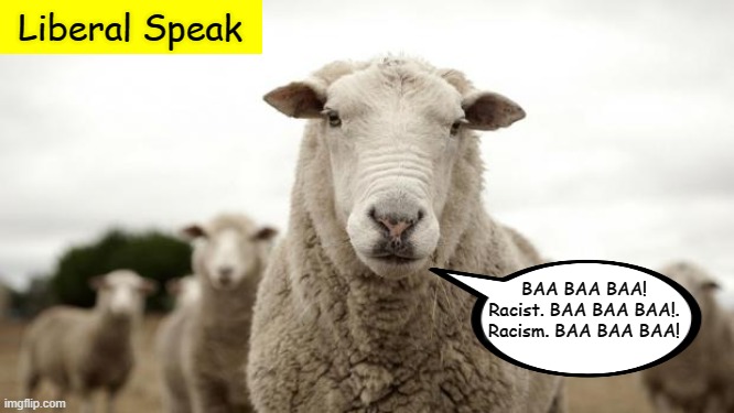 Pretty much | Liberal Speak; BAA BAA BAA! Racist. BAA BAA BAA!. Racism. BAA BAA BAA! | image tagged in sheep,liberal logic,blm,black lives matter | made w/ Imgflip meme maker