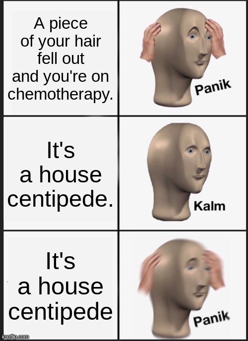 Panik Kalm Panik | A piece of your hair fell out and you're on chemotherapy. It's a house centipede. It's a house centipede | image tagged in memes,panik kalm panik | made w/ Imgflip meme maker