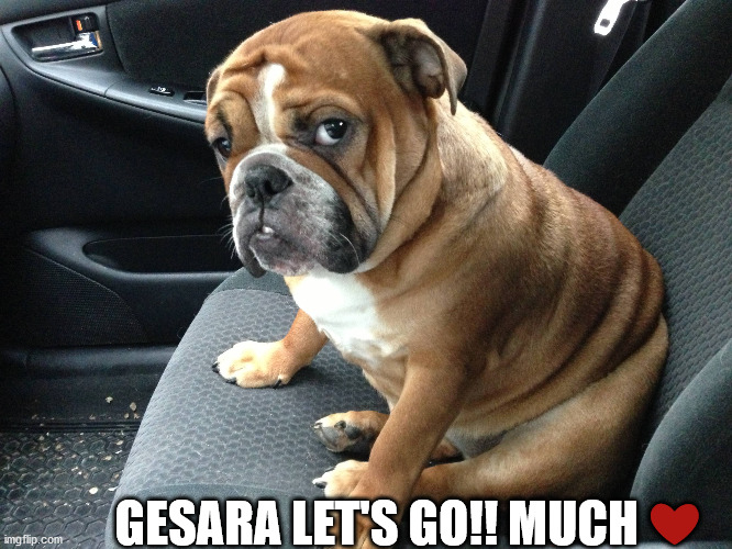 GESARA LET'S GO!! MUCH ❤️ | image tagged in politics | made w/ Imgflip meme maker
