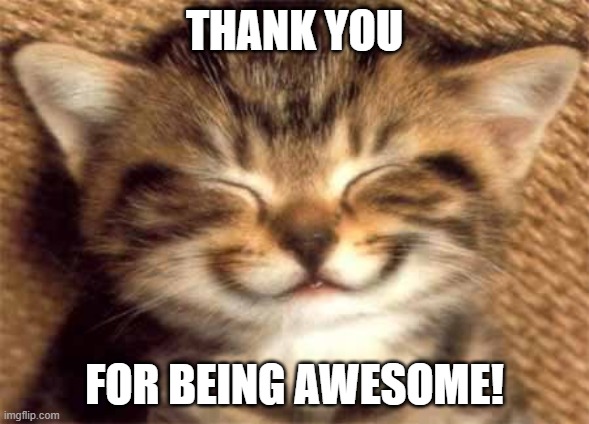 Thank you | THANK YOU; FOR BEING AWESOME! | image tagged in thank you | made w/ Imgflip meme maker