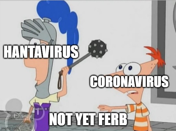 Not Yet Ferb |  HANTAVIRUS; CORONAVIRUS; NOT YET FERB | image tagged in not yet ferb | made w/ Imgflip meme maker