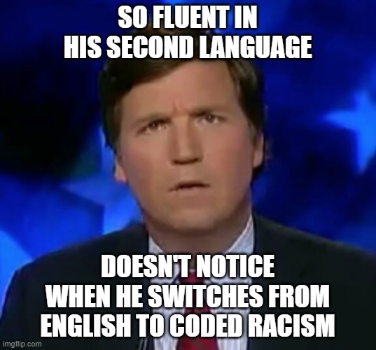 Tucker the Klan-Whisperer | SO FLUENT IN HIS SECOND LANGUAGE; DOESN'T NOTICE WHEN HE SWITCHES FROM ENGLISH TO CODED RACISM | image tagged in white supremacists,tucker carlson,bilingual | made w/ Imgflip meme maker
