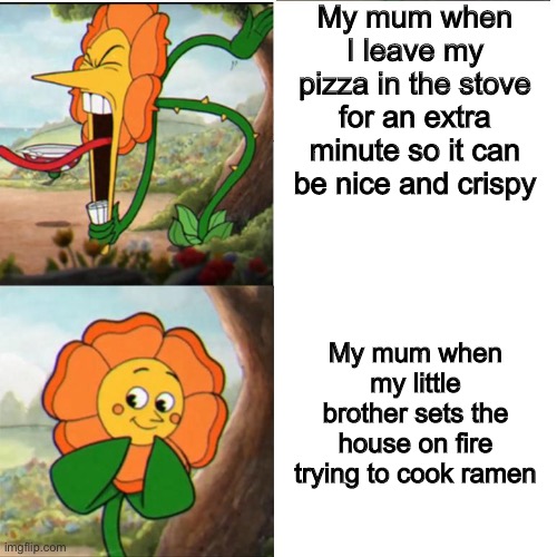 this happened yesterday. don’t worry, it was small. | My mum when I leave my pizza in the stove for an extra minute so it can be nice and crispy; My mum when my little brother sets the house on fire trying to cook ramen | image tagged in memes | made w/ Imgflip meme maker
