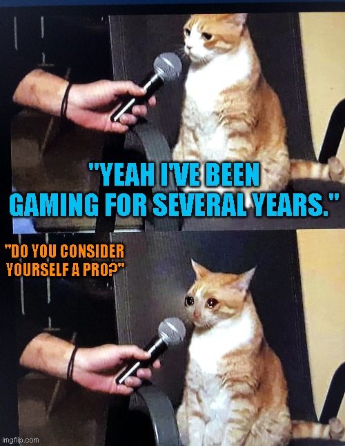 Cat interview crying | "YEAH I'VE BEEN GAMING FOR SEVERAL YEARS."; "DO YOU CONSIDER YOURSELF A PRO?" | image tagged in cat interview crying | made w/ Imgflip meme maker