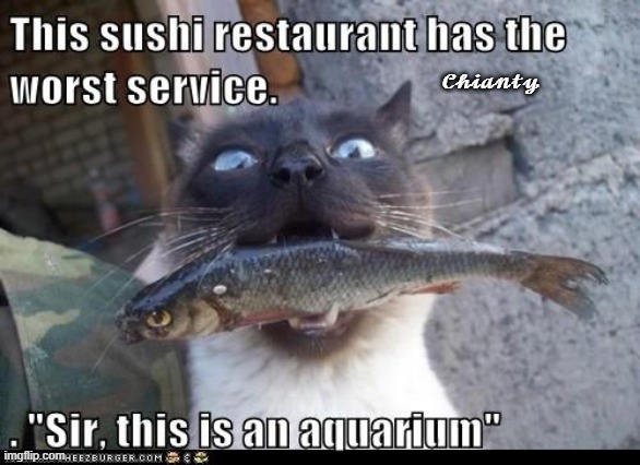 Mmm Sushi | image tagged in service | made w/ Imgflip meme maker